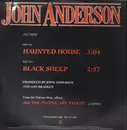 12inch Vinyl Single - John Anderson - Haunted House / Black Sheep