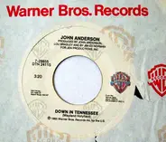 John Anderson - I've Got Me A Woman / Down In Tennessee