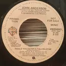 7inch Vinyl Single - John Anderson - Would You Catch A Falling Star