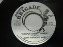 7inch Vinyl Single - John Anthony Hart - Corpus Christi Winds