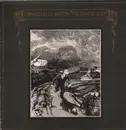 LP - John & Beverley Martyn - The Road to Ruin