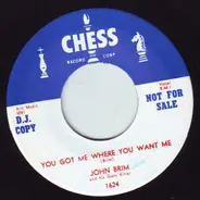 John Brim and His Gary Kings - I Would Hate To See You Go / You Got Me Where You Want Me