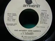 7inch Vinyl Single - John Culliton Mahoney - Has Anybody Seen America