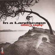 John Cage - In A Landscape