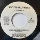 7inch Vinyl Single - John Cafferty And The Beaver Brown Band - Wild Summer Nights / On The Dark Side
