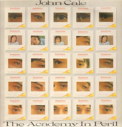 John Cale - The Academy in Peril