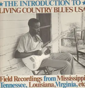 John Cephas - The Introduction To Living Country Blues USA