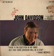 LP - John Davidson - The Young Warm Sound Of John Davidson