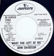 John Davidson - What She Left Of Me / As Lonely As You