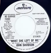 John Davidson - What She Left Of Me / As Lonely As You