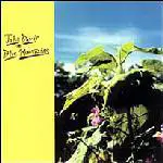 John Davis - Blue Mountains