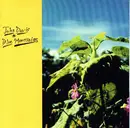 CD - John Davis - Blue Mountains