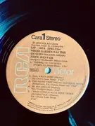 LP - John Denver - Whose Garden Was This