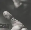 CD - John Doe - A Year In The Wilderness