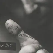 CD - John Doe - A Year In The Wilderness
