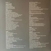Double LP - John Frusciante - Enclosure - Still sealed, 180g