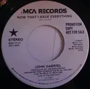 7inch Vinyl Single - John Gabriel - Now That I Have Everything
