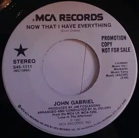 John Gabriel - Now That I Have Everything