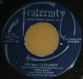 John Gary - How Many Tear Drops / Little People