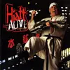 CD - John Hiatt & The Guilty Dogs - Hiatt Comes Alive At Budokan?