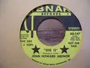 7inch Vinyl Single - John Howard Abdnor - She Is - Gold vinyl