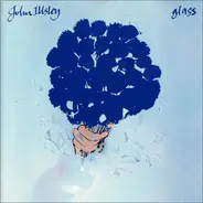 John Illsley - Glass