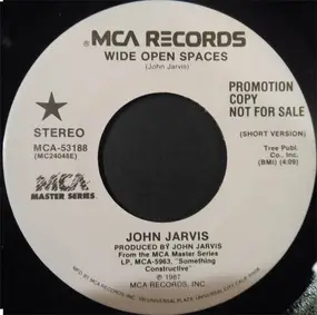 John Jarvis - Wide Open Spaces