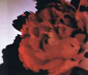 CD Single - John Legend - All Of Me