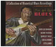 John Lee Hooker / Muddy Waters a.o. - I've Got The Blues