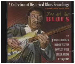 John Lee Hooker - I've Got The Blues