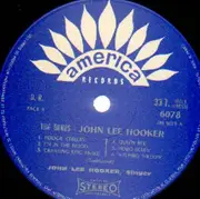 LP - John Lee Hooker - The Blues