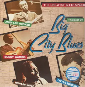 John Lee Hooker - Big City Blues