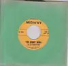 7inch Vinyl Single - John Lichter And The NightWinds - Mean Eyed Cat - Original US