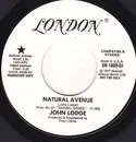 7inch Vinyl Single - John Lodge - Natural Avenue