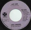 7inch Vinyl Single - John Lombardo - Lady Jane