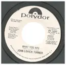 7inch Vinyl Single - John Lovick Turner - What You Are - Promo