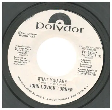 John Lovick Turner - What You Are