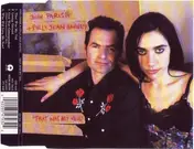 John Parish - That Was My Veil