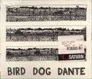 CD - John Parish - Bird Dog Dante - Gatefold Slipcase