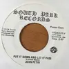 7inch Vinyl Single - John Petri - Put It Down And Let It Pass - Promo