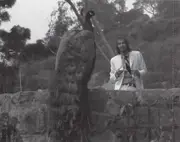 CD - John Phillips - John Phillips (John The Wolfking Of L.A.)