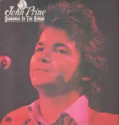 LP - John Prine - Diamonds In The Rough