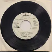 John Van Horn - Tossing Stones