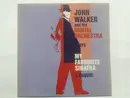LP - John Walker & The Digital Orchestra - Plays My Favorite Sinatra A Tribute