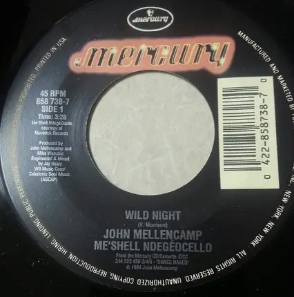 John Cougar Mellencamp - Wild Night