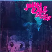 John Cale - Shifty Adventures in Nookie Wood