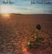 John David Souther - Black Rose