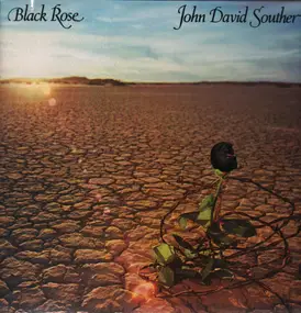 john david souther - Black Rose