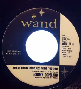 Johnny Copeland - You're Gonna Reap Just What You Sow / Wake Up, Little Susie