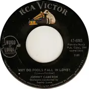 Johnny Cameron - Why Do Fools Fall In Love?